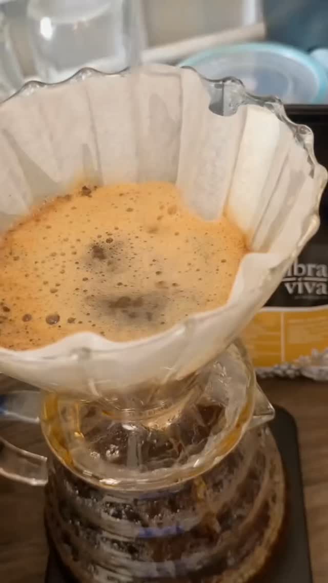 Hay secretos en las montañas de Oaxaca que solo se revelan gota a gota. 🏔️💧 Nuestro Geisha Lavado de la Mixteca no es una bebida rápida para despertar; es una pausa obligada para los sentidos. Extraído en V60 para resaltar su cuerpo sedoso, sus notas a jazmín y esa acidez brillante que define a un café de clase mundial.

​¿Ya viviste el ritual? Te esperamos en Typica Coffee

​📍 Paseo Juárez El Llano frente a VIPS.

#CafeDeEspecialidad #GeishaOaxaca #V60 #MixtecaOaxaqueña #RitualDelCafe