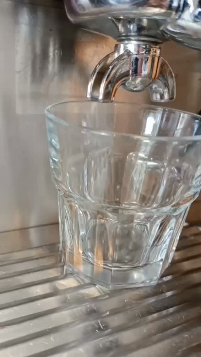 ​Hay amores a primera vista, y luego está el amor a primer sorbo. ☕✨

​Si me buscan, me encontrarán disfrutando de una taza de café Honey de Sombra Viva. No hay nada como esa dulzura natural que le deja el mucílago al secarse al sol, combinada con la complejidad y el respeto al ecosistema que da el cultivo bajo sombra.

​Es más que café; es un apapacho al alma, notas acarameladas y la excusa perfecta para detener el tiempo un ratito.

​¿Alguien más por aquí oficialmente adicto a este perfil? 👇

#AmantesDelCafé #CoffeeLover #CaféDeEspecialidad #HoraDelCafé #AmoElCafé